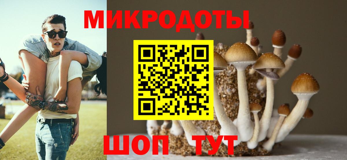 Псилоцибиновые грибы мицелий  наркота  Сокол  Вход с VPN 